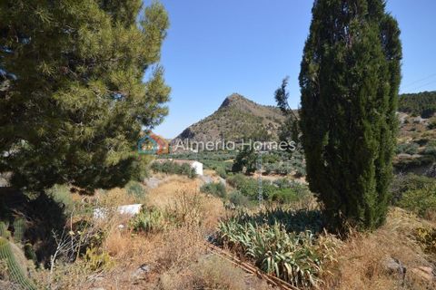 Landejendom i Oria, Almeria, Oria - € 62.500 | Ref: AH-13062 - foto 11