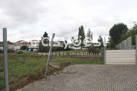 Helårsgrund i Viseu, Viseu, Viseu - € 530.000 | Ref: RR89093 - foto 11