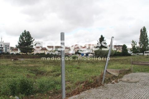 Helårsgrund i Viseu, Viseu, Viseu - € 530.000 | Ref: RR89093 - foto 12