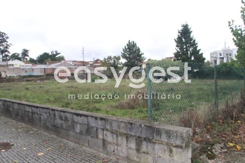 Helårsgrund i Viseu, Viseu, Viseu - € 530.000 | Ref: RR89093 - foto 14