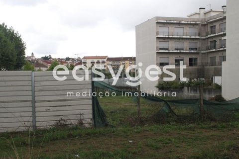 Helårsgrund i Viseu, Viseu, Viseu - € 530.000 | Ref: RR89093 - foto 17