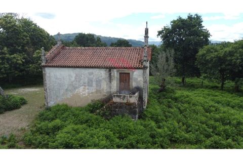 Farm i Arcos de Valdevez, Viana do Castelo, Arcos de Valdevez - € 1.600.000 | Ref: AVV-2033-SL-0622 - foto 5