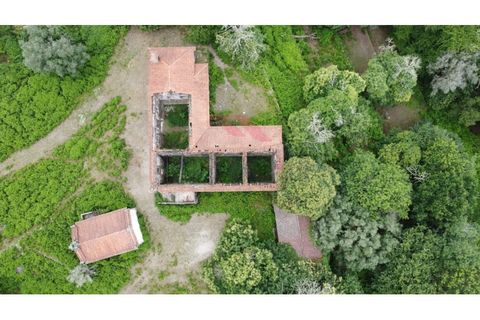 Farm i Arcos de Valdevez, Viana do Castelo, Arcos de Valdevez - € 1.600.000 | Ref: AVV-2033-SL-0622 - foto 6