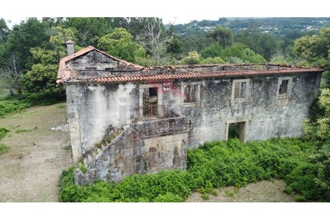 Farm i Arcos de Valdevez, Viana do Castelo, Arcos de Valdevez - € 1.600.000 | Ref: AVV-2033-SL-0622 - foto 13