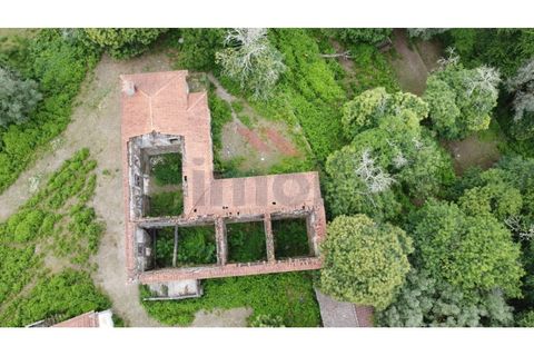 Farm i Arcos de Valdevez, Viana do Castelo, Arcos de Valdevez - € 1.600.000 | Ref: AVV-2033-SL-0622 - foto 14