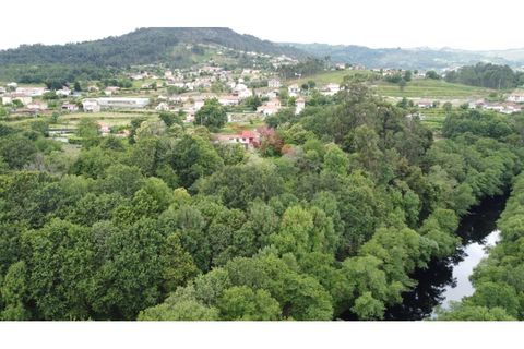 Farm i Arcos de Valdevez, Viana do Castelo, Arcos de Valdevez - € 1.600.000 | Ref: AVV-2033-SL-0622 - foto 15