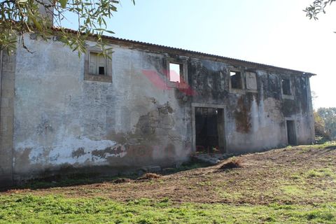 Farm i Arcos de Valdevez, Viana do Castelo, Arcos de Valdevez - € 1.600.000 | Ref: AVV-2033-SL-0622 - foto 16