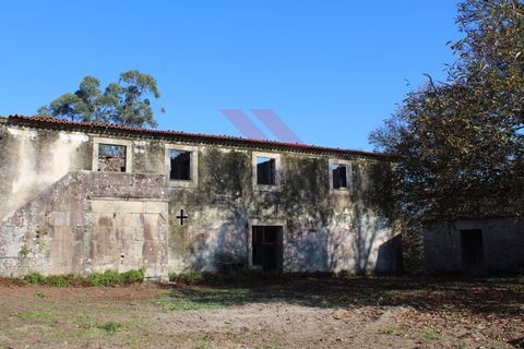 Farm i Arcos de Valdevez, Viana do Castelo, Arcos de Valdevez - € 1.600.000 | Ref: AVV-2033-SL-0622 - foto 19