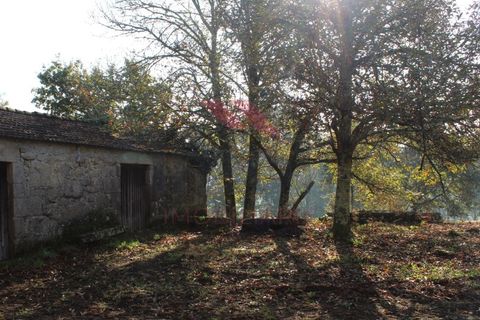 Farm i Arcos de Valdevez, Viana do Castelo, Arcos de Valdevez - € 1.600.000 | Ref: AVV-2033-SL-0622 - foto 20