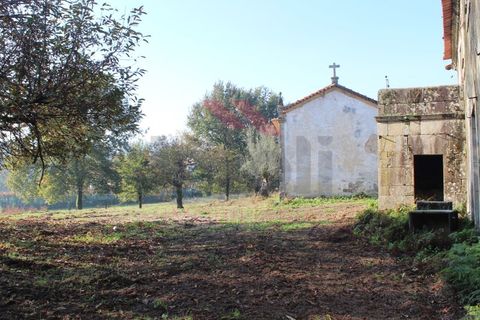 Farm i Arcos de Valdevez, Viana do Castelo, Arcos de Valdevez - € 1.600.000 | Ref: AVV-2033-SL-0622 - foto 21