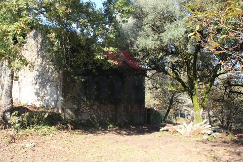Farm i Arcos de Valdevez, Viana do Castelo, Arcos de Valdevez - € 1.600.000 | Ref: AVV-2033-SL-0622 - foto 22