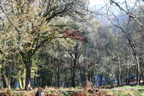 Farm i Arcos de Valdevez, Viana do Castelo, Arcos de Valdevez - € 1.600.000 | Ref: AVV-2033-SL-0622 - foto 23