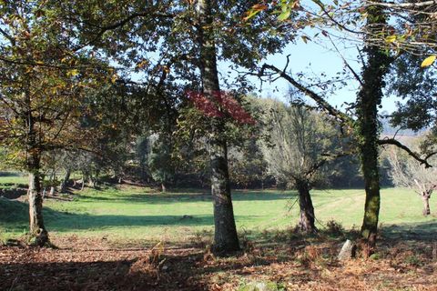 Farm i Arcos de Valdevez, Viana do Castelo, Arcos de Valdevez - € 1.600.000 | Ref: AVV-2033-SL-0622 - foto 25