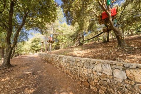 Villa i Grasse, Alpes-Maritimes, Grasse - € 2.650.000 | Ref: HH-14619834 - foto 13