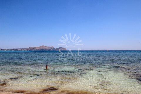 Byhus i Can Picafort, Mallorca, Can Picafort - € 2.500.000 | Ref: SAE 1246 - foto 2
