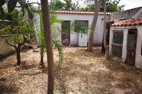Villa i Tavira, Faro, Tavira - € 480.000 | Ref: ITH1260 - foto 9