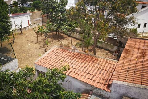 Villa i Tavira, Faro, Tavira - € 480.000 | Ref: ITH1260 - foto 14