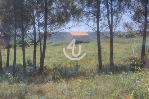 Villa i Nazare, Leiria, Nazare - € 95.000 | Ref: S4U120-V149 - foto 5