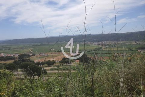 Villa i Nazare, Leiria, Nazare - € 95.000 | Ref: S4U120-V149 - foto 10