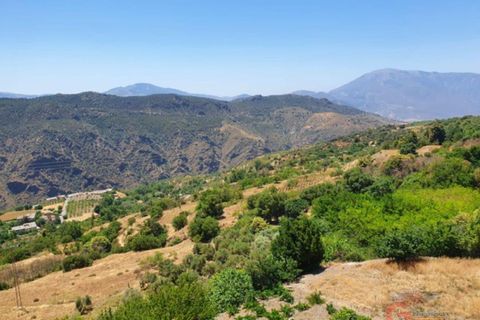 Leilighet i Pitres, Granada, Pitres - € 375 000 | Ref: J599 - foto 17
