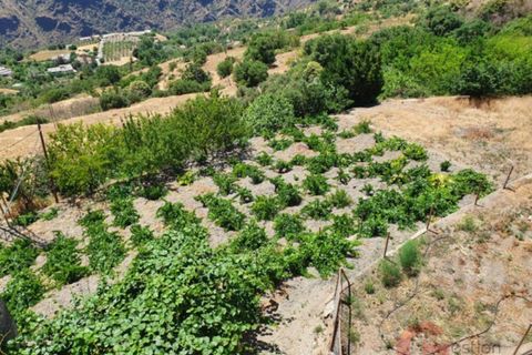 Leilighet i Pitres, Granada, Pitres - € 375 000 | Ref: J599 - foto 3