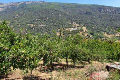 Finca i Busquistar, Granada, Busquistar - € 490.000 | Ref: J600 - foto 15