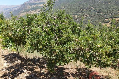 Finca i Busquistar, Granada, Busquistar - € 490.000 | Ref: J600 - foto 16