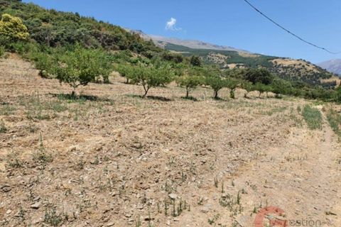 Finca i Busquistar, Granada, Busquistar - € 490.000 | Ref: J600 - foto 17