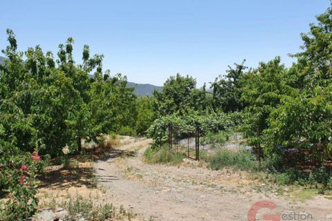 Finca i Busquistar, Granada, Busquistar - € 490.000 | Ref: J600 - foto 20