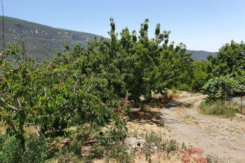 Finca i Busquistar, Granada, Busquistar - € 490.000 | Ref: J600 - foto 21