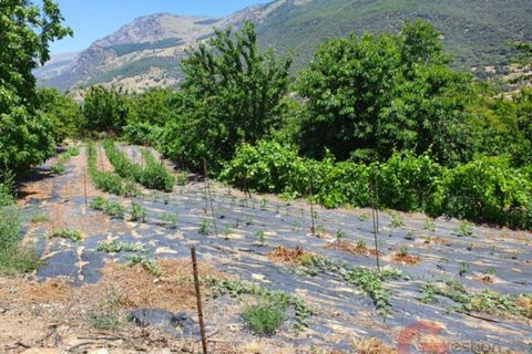 Finca i Busquistar, Granada, Busquistar - € 490.000 | Ref: J600 - foto 23