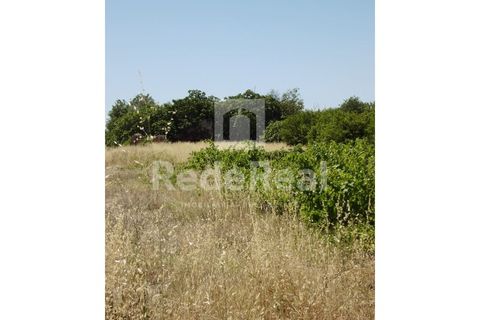 Ruin i Benafim, Faro, Benafim - € 81 000 | Ref: 021090227 - foto 3