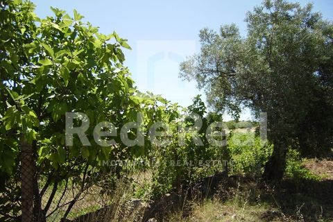Ruin i Benafim, Faro, Benafim - € 81 000 | Ref: 021090227 - foto 6