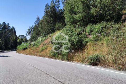 Helårsgrund i Lousada, Porto, Lousada - € 57.500 | Ref: 365/T/02404 - foto 2