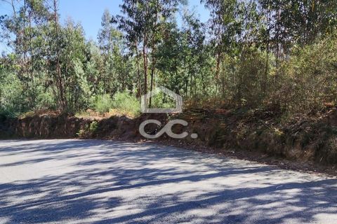 Helårsgrund i Lousada, Porto, Lousada - € 57.500 | Ref: 365/T/02404 - foto 6