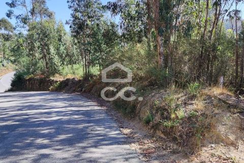 Helårsgrund i Lousada, Porto, Lousada - € 57.500 | Ref: 365/T/02404 - foto 7