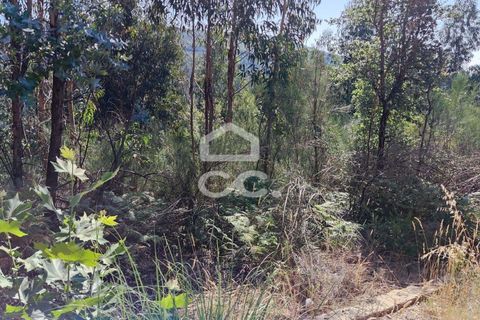 Helårsgrund i Lousada, Porto, Lousada - € 57.500 | Ref: 365/T/02404 - foto 8