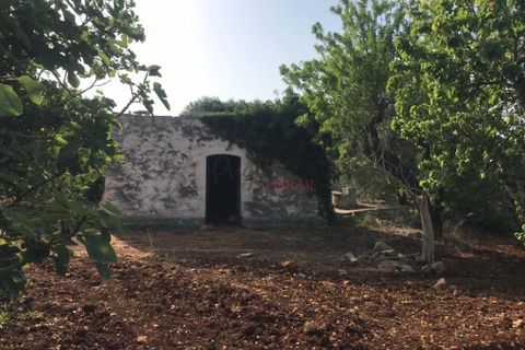 Landejendom i Ostuni, Brindisi, Ostuni - € 110.000 | Ref: 186 - foto 6