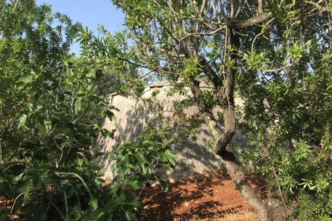 Landejendom i Ostuni, Brindisi, Ostuni - € 110.000 | Ref: 186 - foto 9
