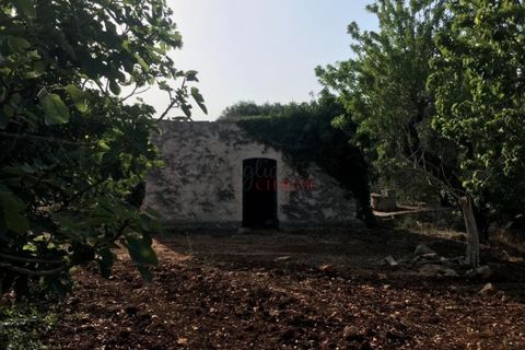Landejendom i Ostuni, Brindisi, Ostuni - € 110.000 | Ref: 186 - foto 11