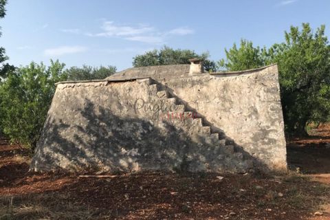 Landejendom i Ostuni, Brindisi, Ostuni - € 110.000 | Ref: 186 - foto 10