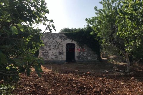 Landejendom i Ostuni, Brindisi, Ostuni - € 110.000 | Ref: 186 - foto 3