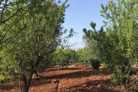 Landejendom i Ostuni, Brindisi, Ostuni - € 110.000 | Ref: 186 - foto 8