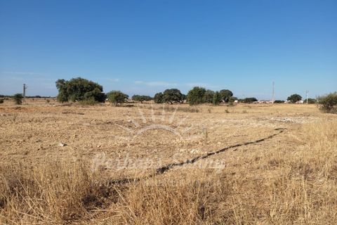 Helårsgrund i Ermidas do Sado, Setubal, Ermidas do Sado - € 99.900 | Ref: PHS352/22 - foto 5