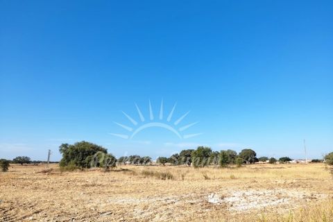 Helårsgrund i Ermidas do Sado, Setubal, Ermidas do Sado - € 99.900 | Ref: PHS352/22 - foto 2