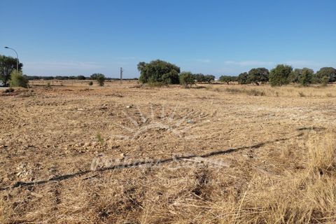 Tomt i Ermidas do Sado, Setubal, Ermidas do Sado - € 99 900 | Ref: PHS351/22 - foto 3