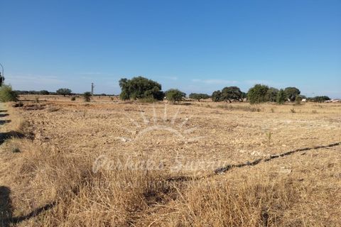 Tomt i Ermidas do Sado, Setubal, Ermidas do Sado - € 99 900 | Ref: PHS351/22 - foto 4