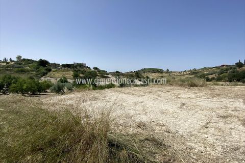 Terra a Serradifalco, Caltanissetta, Serradifalco - € 33.000 | Ref: TA50 - foto 5
