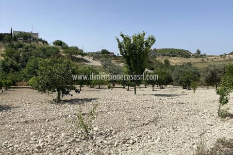 Terra a Serradifalco, Caltanissetta, Serradifalco - € 33.000 | Ref: TA50 - foto 6