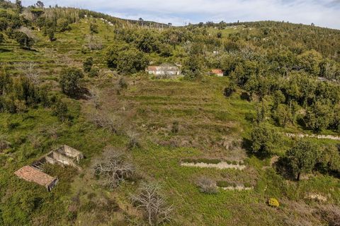 Helårsgrund i Monchique, Faro, Monchique - € 120.000 | Ref: VH554PTM - foto 2